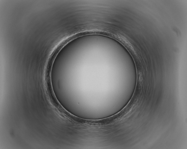 X0000114510676200910190929