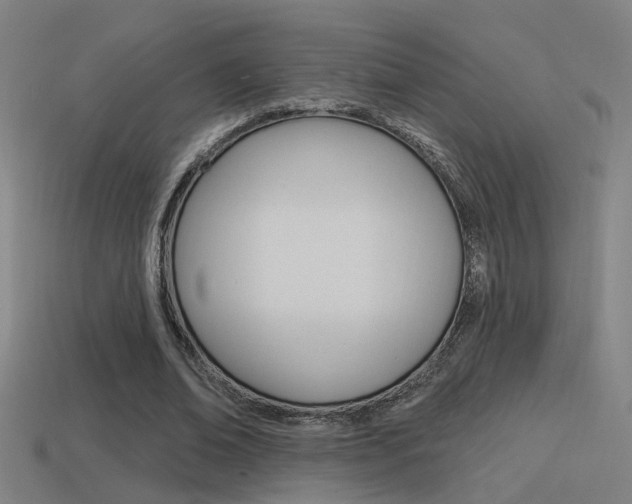 X0000114510678200910190929
