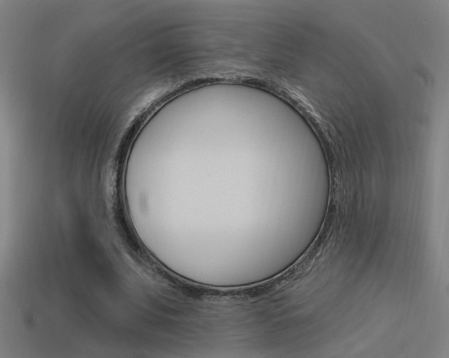 X0000114510679200910190929