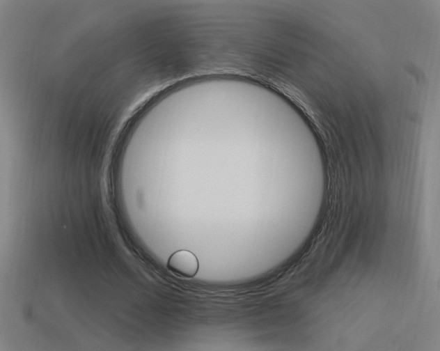 X0000114510680200910190929
