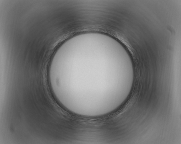 X0000114510681200910190929