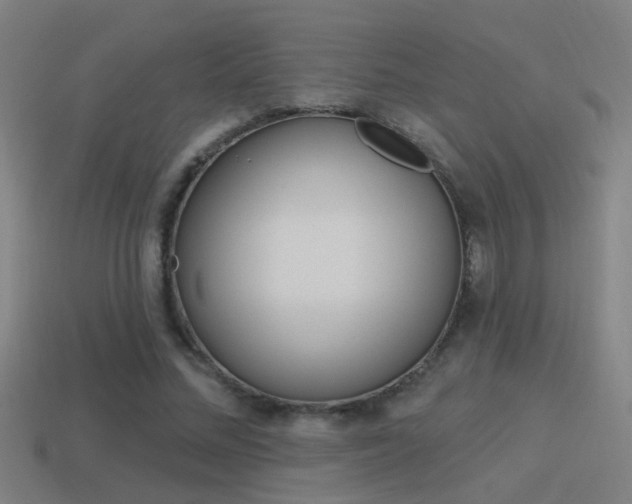 X0000114510684200910190929