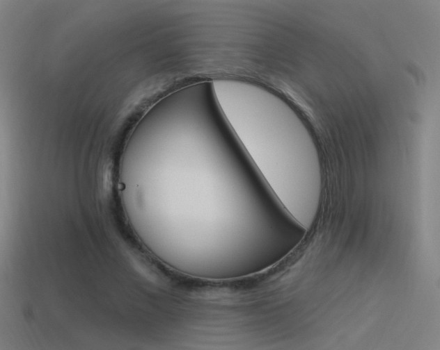 X0000114510685200910190929