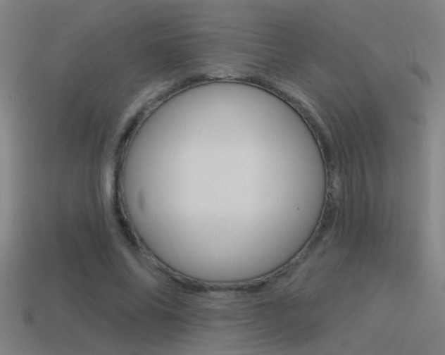 X0000114510686200910190929