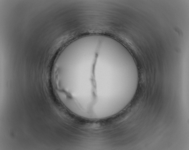 X0000114510687200910190929