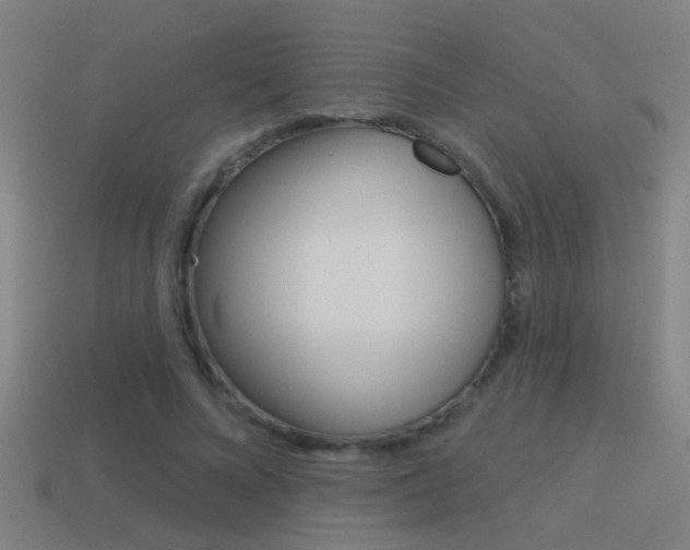 X0000114510688200910190929