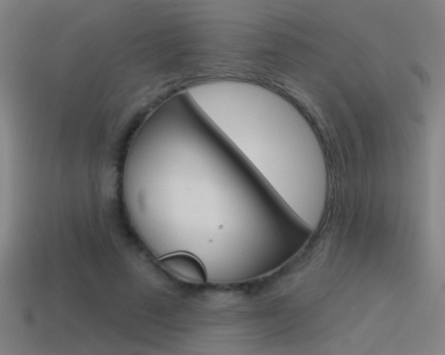X0000114510689200910190929