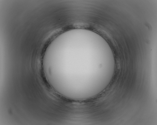 X0000114510690200910190929