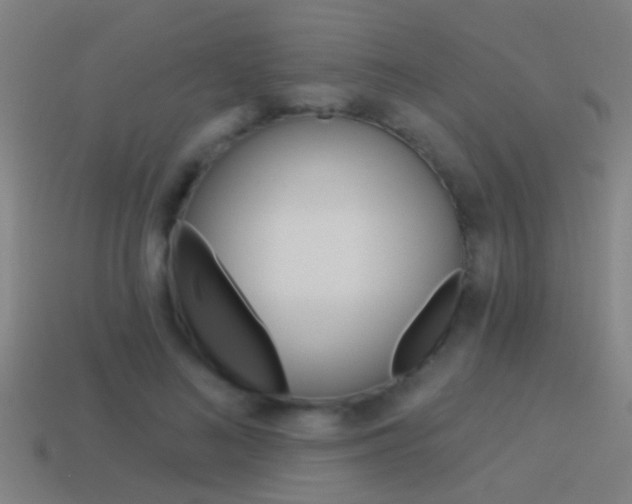 X0000114510692200910190929