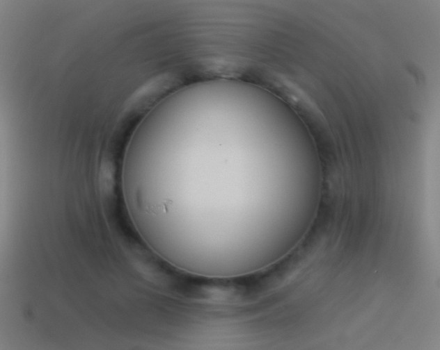 X0000114510693200910190929