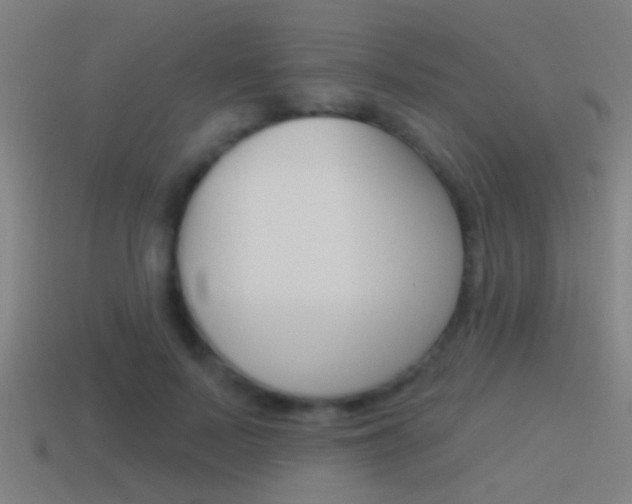 X0000114510695200910190929