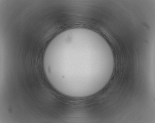 X0000114510696200910190929