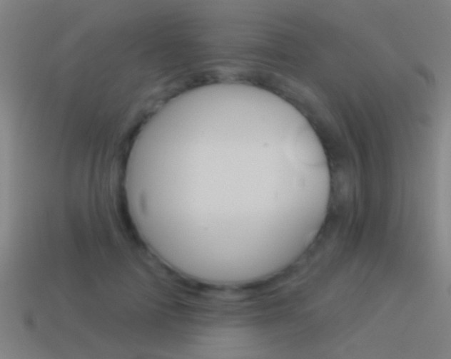 X0000114510698200910190929