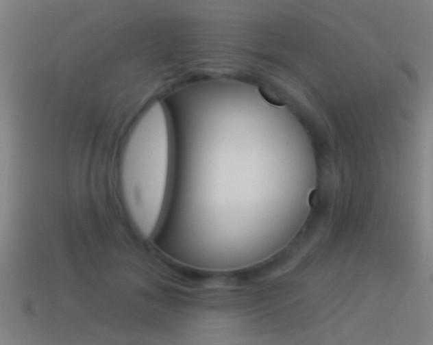 X0000114510700200910190929