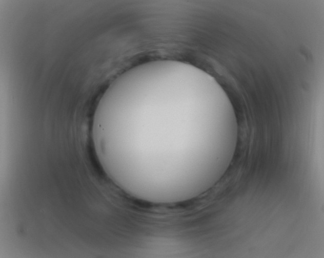 X0000114510703200910190929