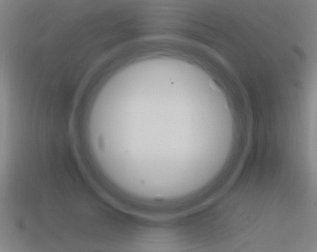 X0000114510705200910190929