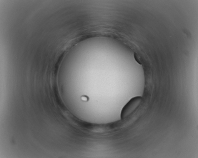 X0000114510708200910190929