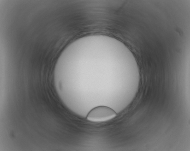 X0000114510709200910190929