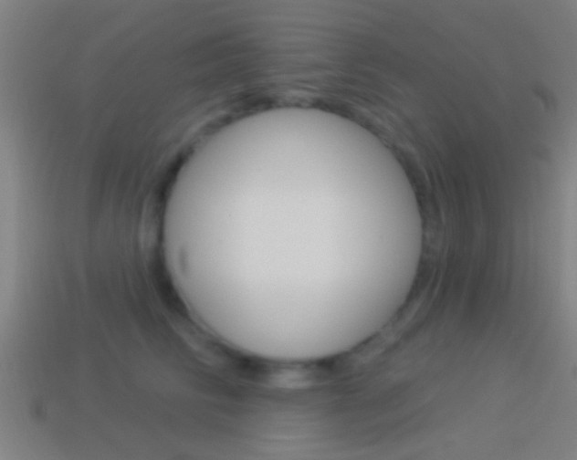 X0000114510710200910190929