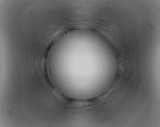 X0000114510712200910190929