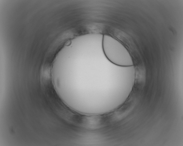 X0000114510713200910190929