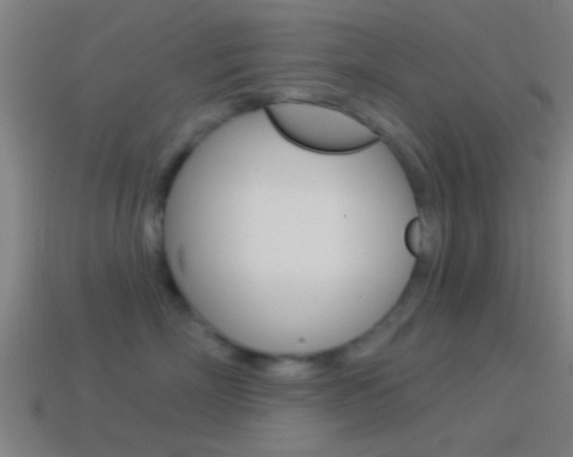 X0000114510718200910190929