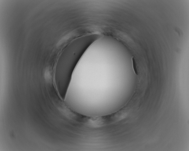 X0000114510720200910190929
