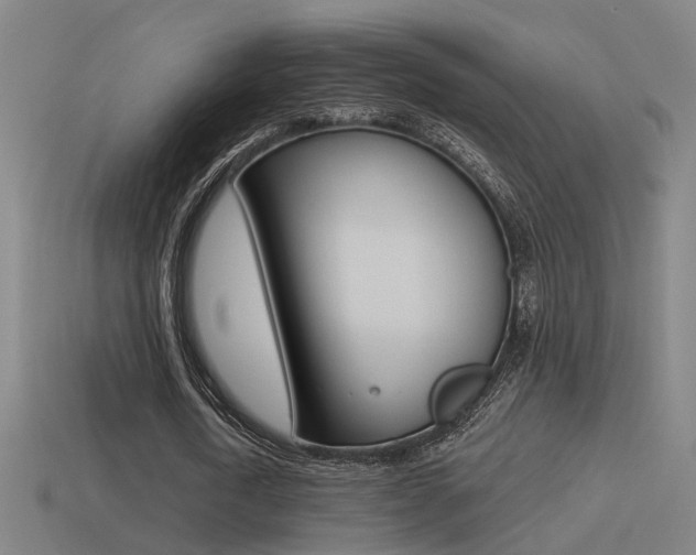 X0000114510722200910190928