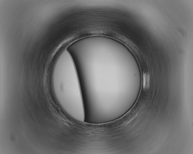 X0000114510723200910190928