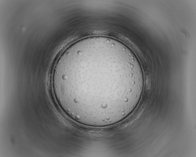 X0000114510725200910190928
