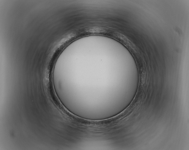 X0000114510727200910190928