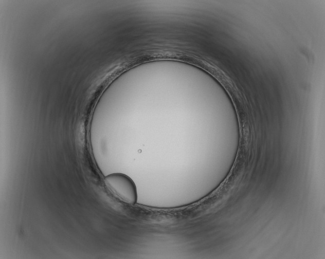 X0000114510729200910190928