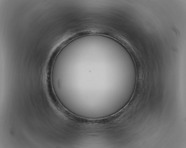 X0000114510730200910190928