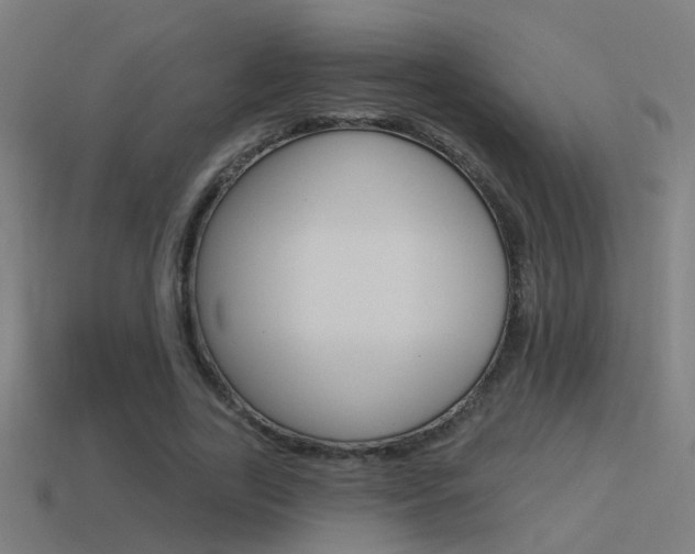 X0000114510731200910190928