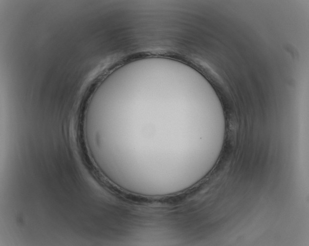 X0000114510734200910190928
