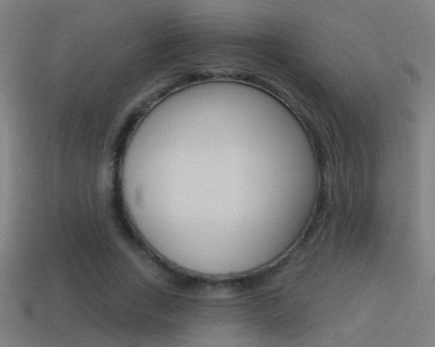 X0000114510735200910190928
