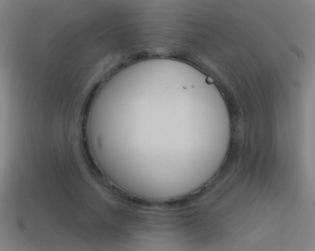 X0000114510738200910190928