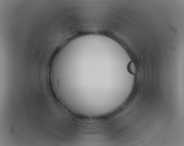 X0000114510739200910190928