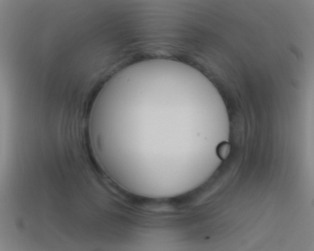 X0000114510747200910190929