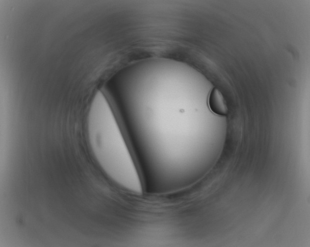 X0000114510750200910190929