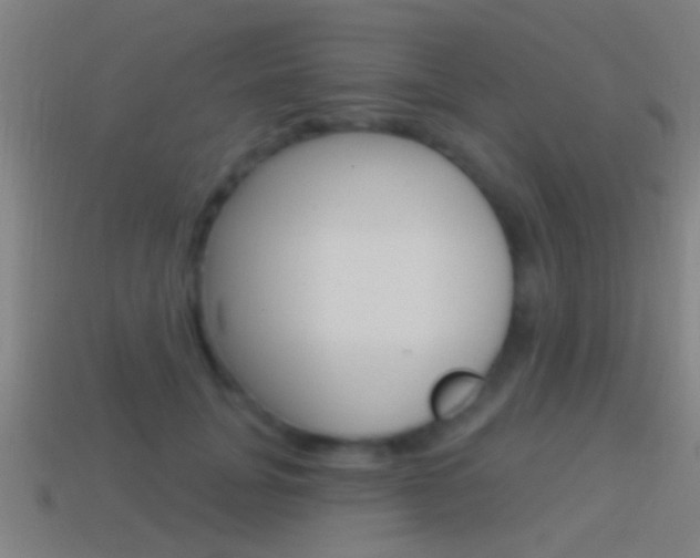 X0000114510751200910190929