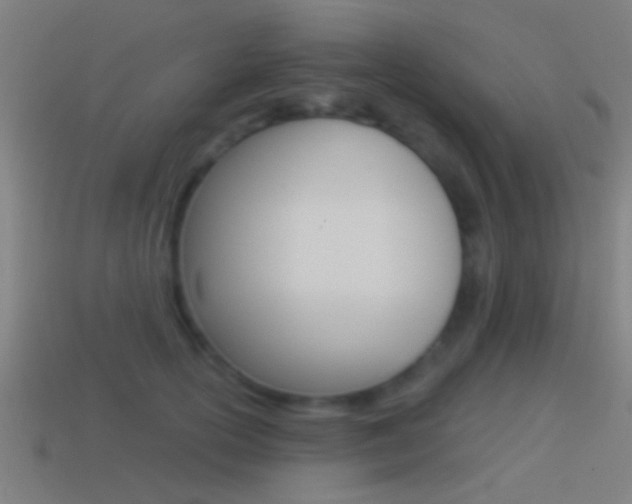X0000114510754200910190929