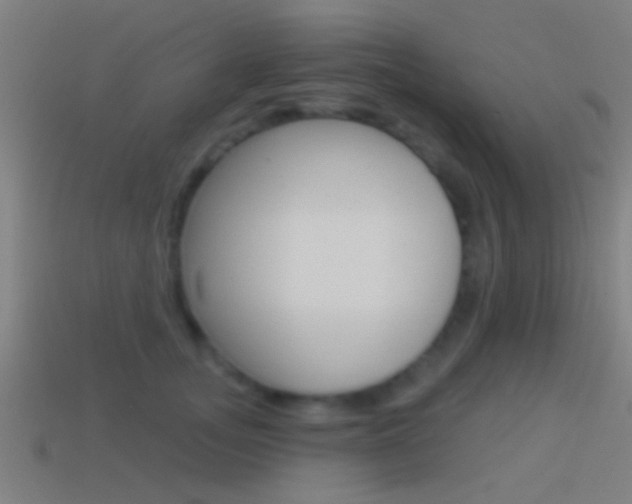 X0000114510755200910190929