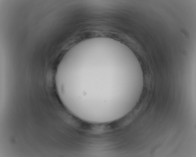 X0000114510757200910190929