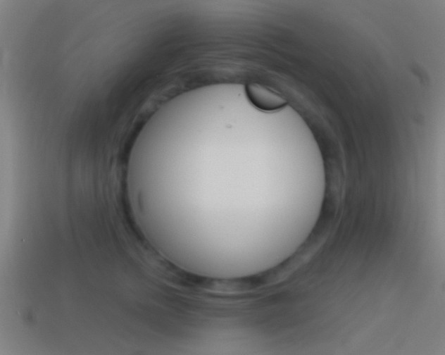 X0000114510758200910190929
