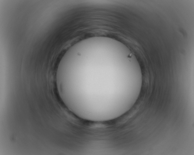 X0000114510759200910190929