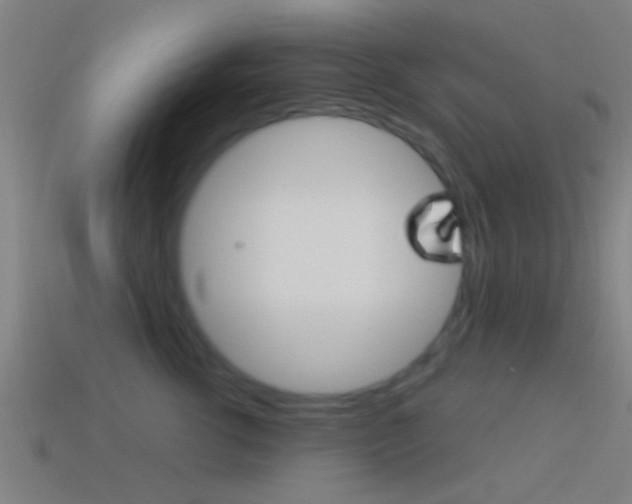 X0000114510762200910190929