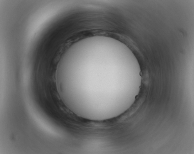 X0000114510763200910190929
