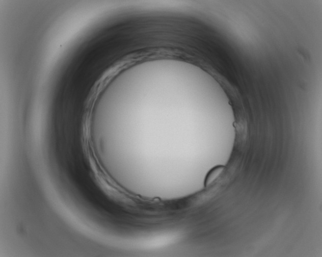 X0000114510765200910190929