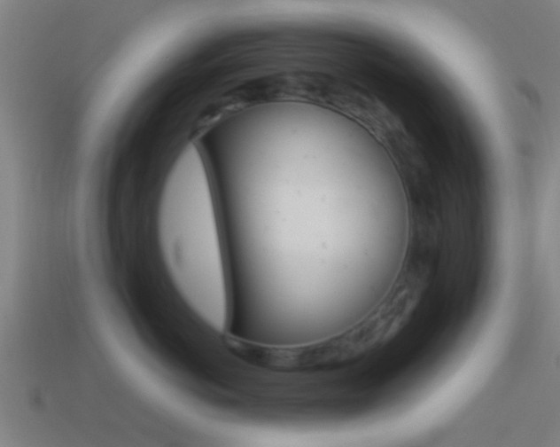 X0000114510766200910190929